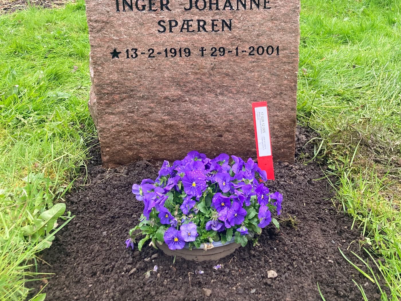 Den ferdige steinen på gravstedet, med lilla stemorsblomster foran sokkelen.