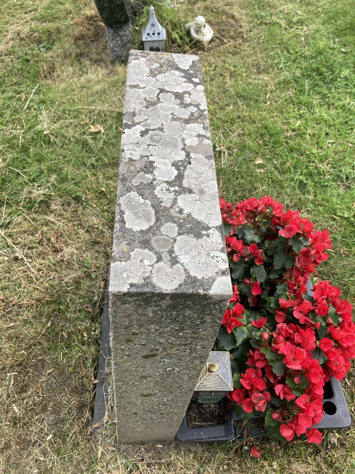 Toppen av steinen sett ovenfra, dekket av lyse flekker av lav.