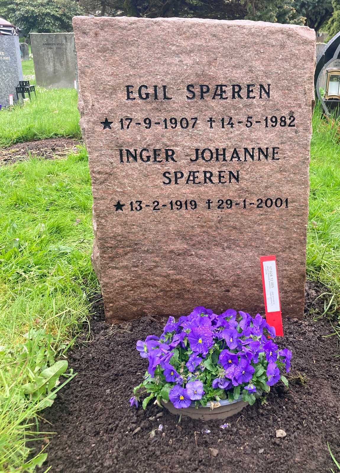 Ferdig renset gravstein i rødlig granitt med nymalt svart skrift, satt tilbake på gravstedet med stemorsblomster foran.